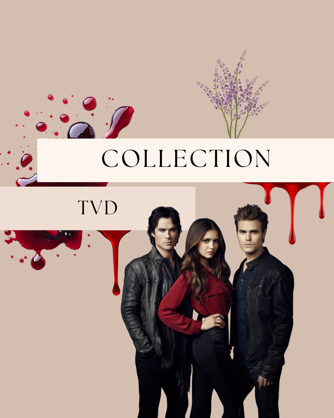 The vampire diaries